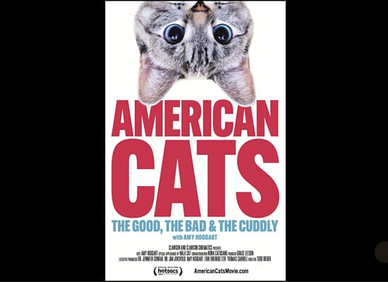 American Cats – The Good, The Bad, The Cuddly on Pet Life Radio