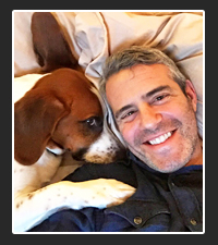 Andy Cohen  on Pet Life Radio