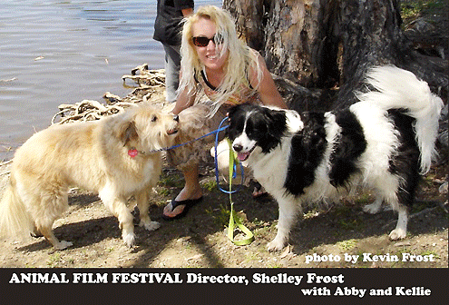 Animal Film Festival on Pet Life Radio