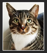 Adopt April Today!