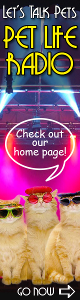 Check out the Pet Life Radio Homepage!