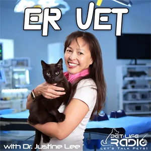 ER Vet on Pet Life Radio