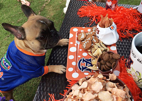 Fall Time Fun on Pet Life Radio