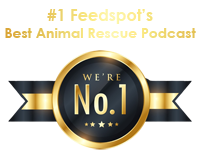 Feedspot's Top 5 Best Pets Podcasts.  Save A Pooch is Number 1
