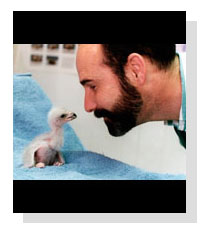 Dr. Freeland Dunker on Pet Life Radio 