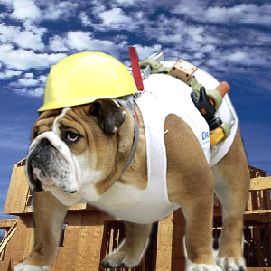 Gimme Shelter on Pet Life Radio