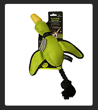 Hyper Pet on Pet Life Radio
