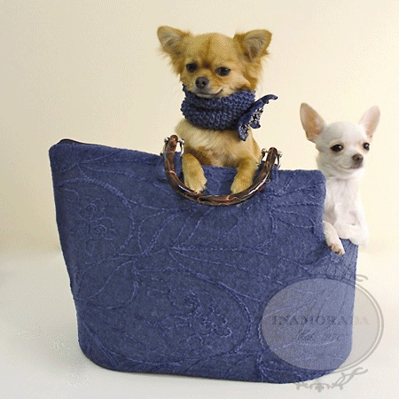 INAMORADA on Pet Life Radio