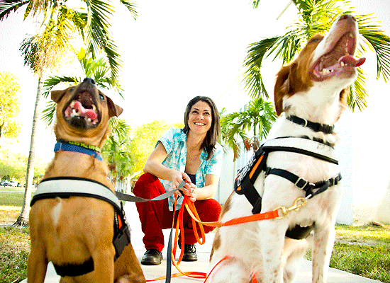 Jamiie Katz on Pet Life Radio
