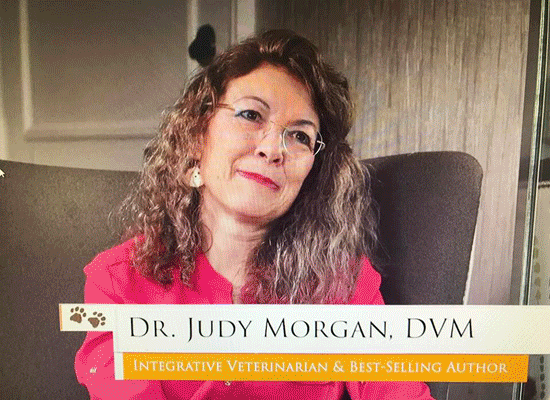 Dr. Judy Morgan on Pet Life Radio