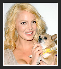 Katherine Heigl  on Pet Life Radio