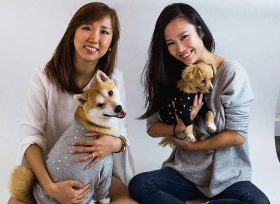 Le Chien Bleu NY on Pet Life Radio