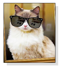Matilda on Pet Life Radio