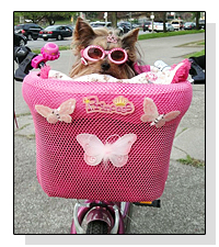 Princess on Pet Life Radio