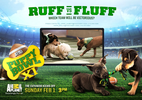 Puppy Bowl  on Pet Life Radio