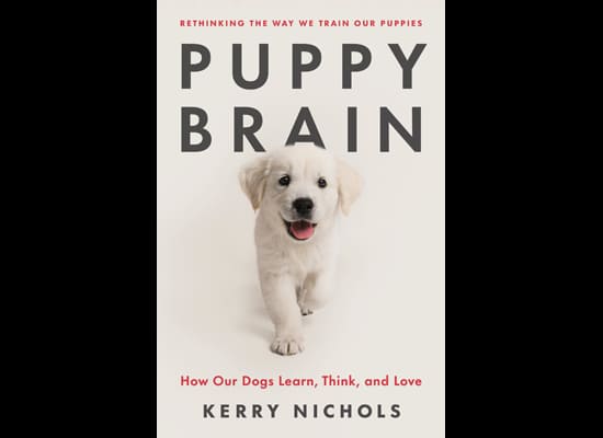 Puppy Brain by kerry Nichols on Pet Life Radio