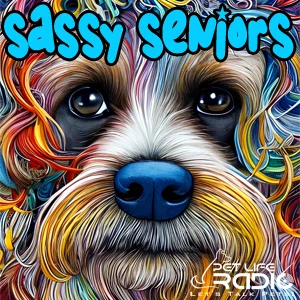 Sassy Seniors on Pet Life Radio