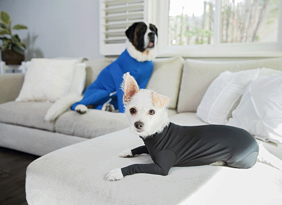 Shed Defender on Pet Life Radio