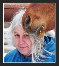 Suzanne Clothier   on Pet Life Radio