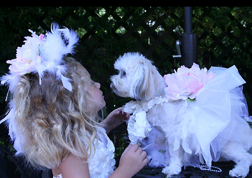 Yvette Ruta on Pet Life Radio