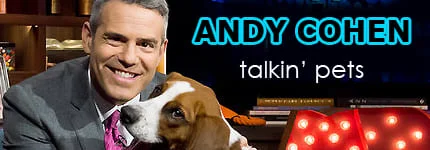 Dog Podcast | Cat Podcast | Andy Cohen on Pet Life Radio