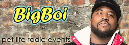 Dog Podcast | Cat Podcast | Big Boi on Pet Life Radio