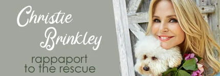 Dog Podcast | Cat Podcast | Christie Brinkley on Pet Life Radio