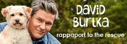 Dog Podcast | Cat Podcast | David Burtka on Pet Life Radio