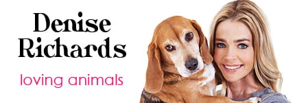 Dog Podcast | Cat Podcast | Denise Richards on Pet Life Radio