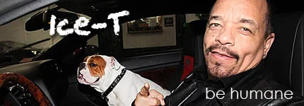 Dog Podcast | Cat Podcast | Ice-T on Pet Life Radio