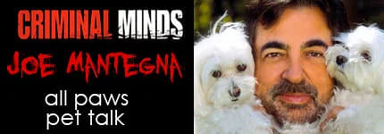 Dog Podcast | Cat Podcast | Joe Mantegna on Pet Life Radio