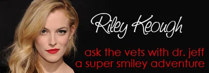 Dog Podcast | Cat Podcast | Riley Keough on Pet Life Radio