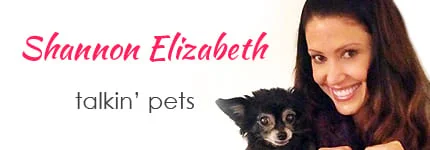 Dog Podcast | Cat Podcast | Shannon Elizabeth on Pet Life Radio