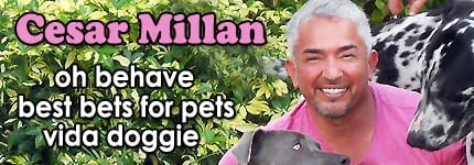 Dog Podcast | Cat Podcast | Cesar Millan on Pet Life Radio