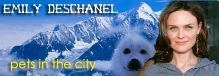Dog Podcast | Cat Podcast | Emily Deschanel on Pet Life Radio