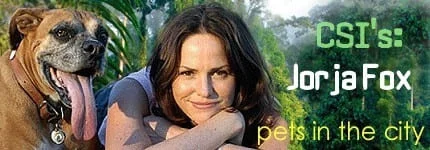 Dog Podcast | Cat Podcast | Jorja Fox on Pet Life Radio