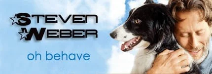 Dog Podcast | Cat Podcast | Steven Weber on Pet Life Radio