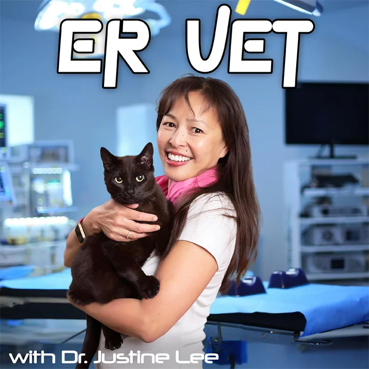 How do you clean a dog’s ears? Find out on ER Vet pet podcast on Pet Life Radio