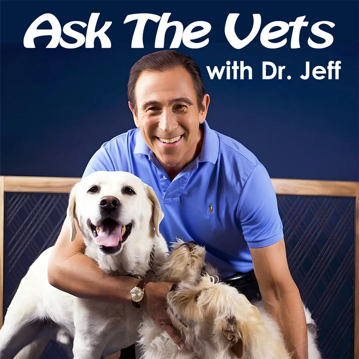 Why do dogs eat grass?  Find out on Ask the Vets with Dr. Jeff pet podcast on Pet Life Radio