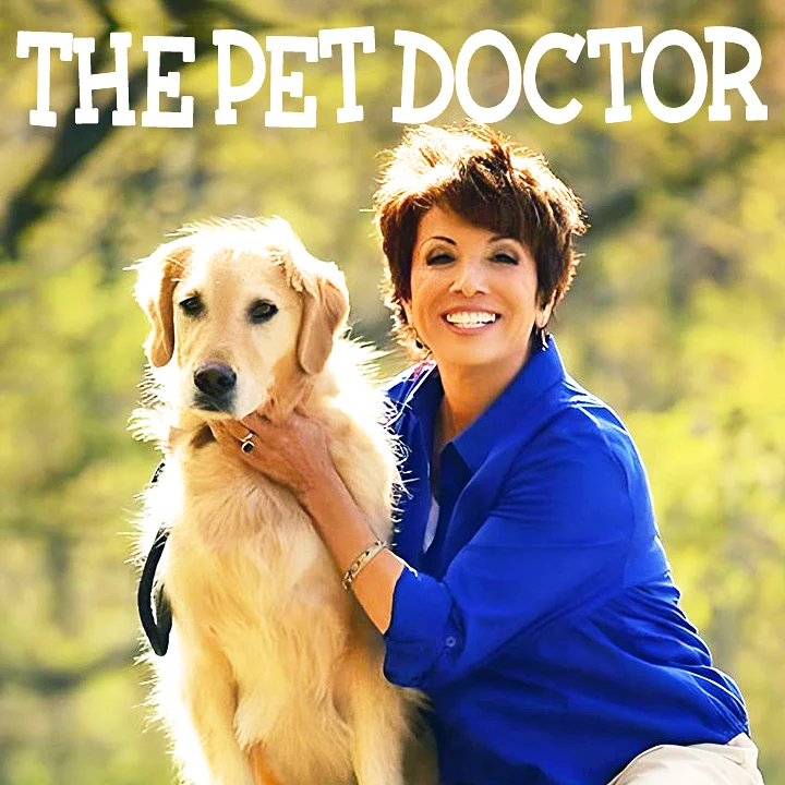 The Pet Doctor pet podcast on Pet Life Radio
