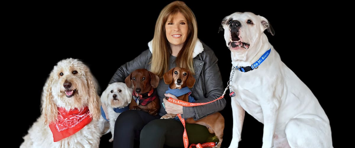 Rappaport to the Rescue on Pet Life Radio