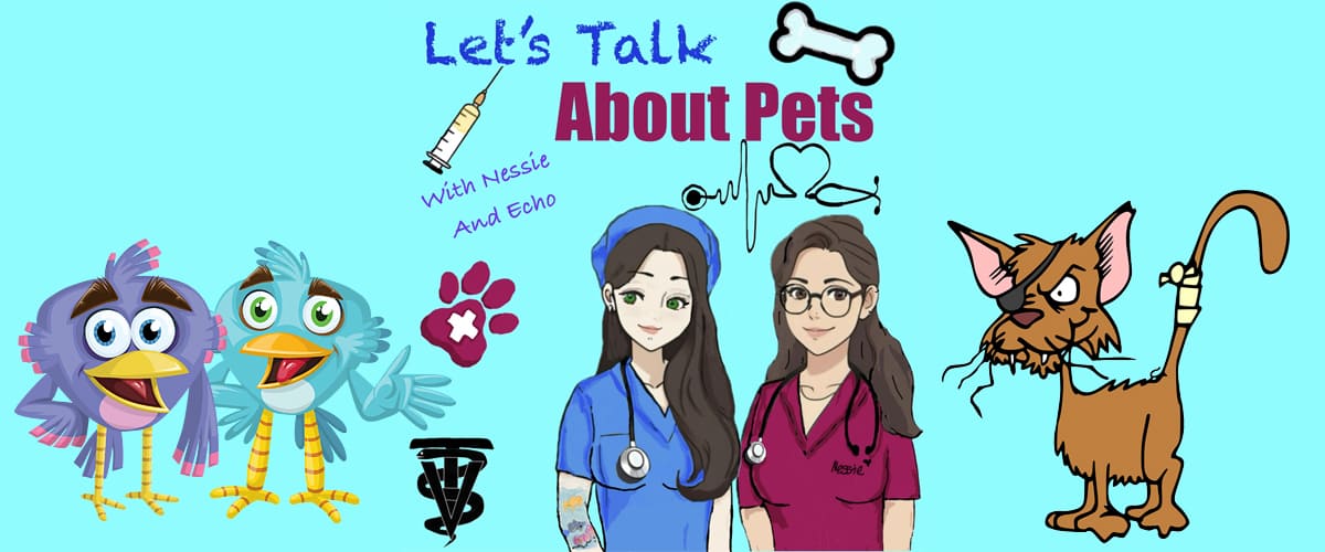 Let's Talk About Pets on Pet Life Radio