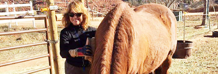 Geri D on Pet Life Radio