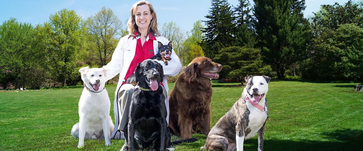 Nine Lives with Dr. Kat on Pet Life Radio
