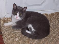 Milo