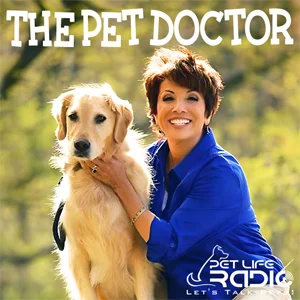 The Pet Doctor  on Pet Life Radio