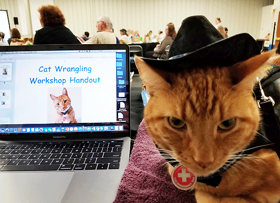 Texas Pet Sitters Conference on Pet Life Radio